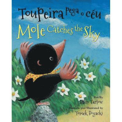 Mole Catches the Sky (Portuguese/English) 1