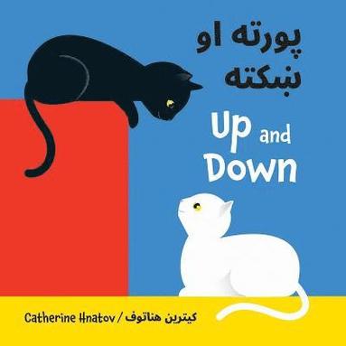 Catherine Hnatov - Up and Down (Pashto/English), Kartonnage