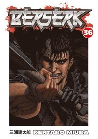 bokomslag Berserk Volume 36