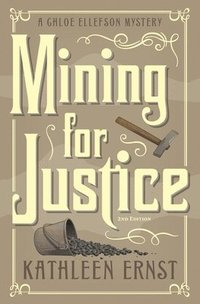 bokomslag Mining for Justice