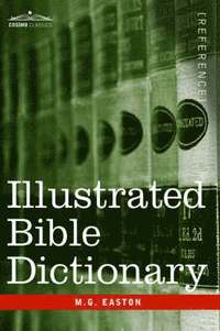 bokomslag Illustrated Bible Dictionary