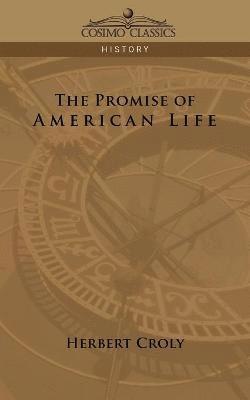 bokomslag The Promise of American Life