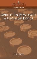 bokomslag Spirits in Bondage