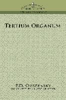 bokomslag Tertium Organum