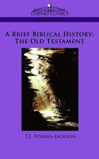 bokomslag A Brief Biblical History