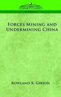 bokomslag Forces Mining and Undermining China
