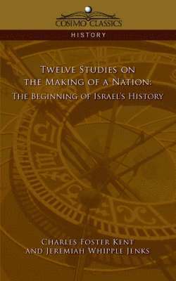 bokomslag Twelve Studies on the Making of a Nation