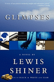 Lewis Shiner - Glimpses, Häftad