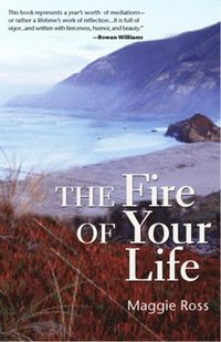 bokomslag Fire of Your Life