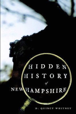 bokomslag Hidden History of New Hampshire