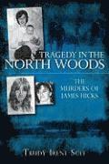 bokomslag Tragedy in the North Woods:: The Murders of James Hicks