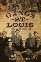bokomslag Gangs of St. Louis: Men of Respect