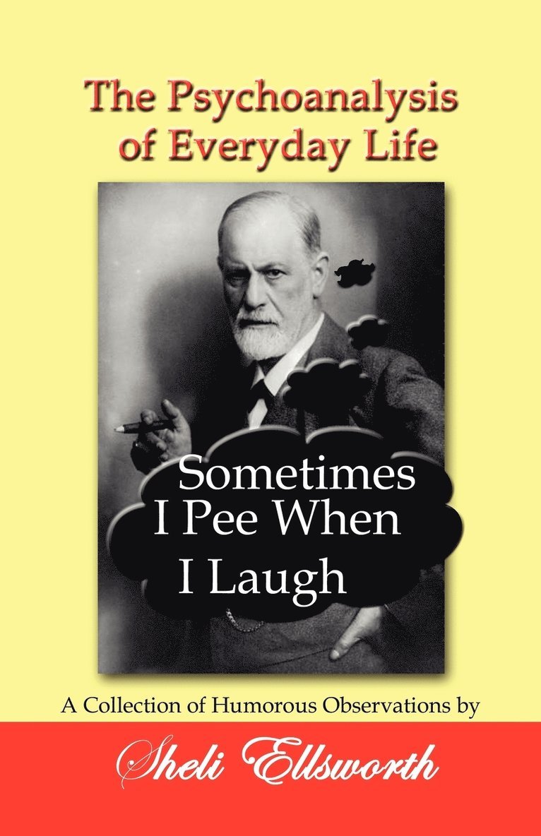 Sheli Ellsworth - Psychoanalysis of Everyday Life - Sometimes I Pee When I Laugh, Häftad