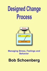 bokomslag Designed Change Process
