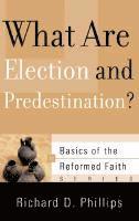 bokomslag What Are Election and Predestination?