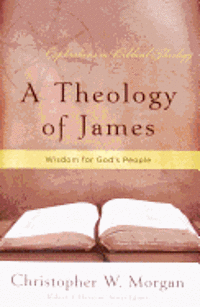 bokomslag Theology of James, A