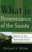 bokomslag What is Perseverance of the Saints?