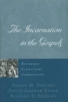 bokomslag Reformed Expository Commentary: Incarnation In The Gospels