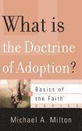 bokomslag What Is the Doctrine of Adoption?