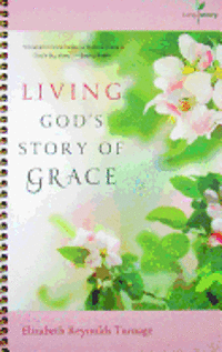 bokomslag Living God's Story of Grace