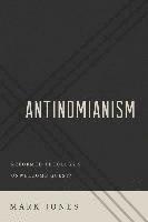 bokomslag Antinomianism