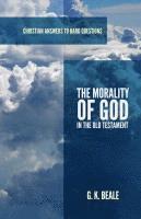 bokomslag Morality of God in the Old Testament, The