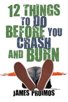 bokomslag 12 Things to Do Before You Crash and Burn