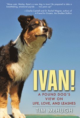 Ivan! 1