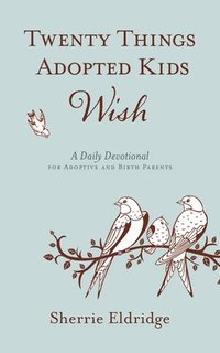 bokomslag Twenty Things Adopted Kids Wish