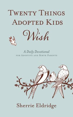bokomslag Twenty Things Adopted Kids Wish: A Daily Devotional for Adoptive and Birth Parents
