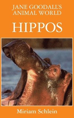 Jane Goodall's Animal World Hippos