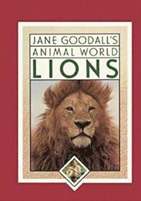 bokomslag Jane Goodall's Animal World, Lions