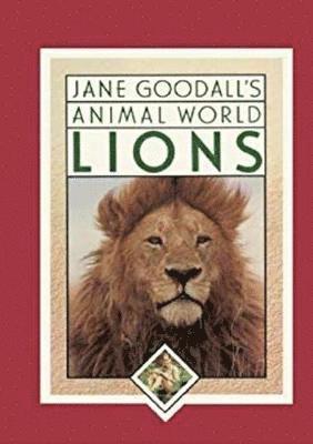Jane Goodall's Animal World, Lions 1