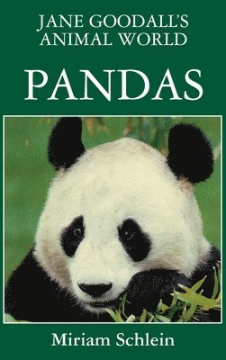 Jane Goodall's Animal World Pandas