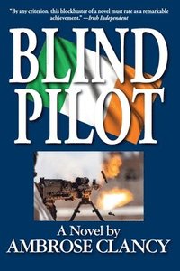 bokomslag Blind Pilot