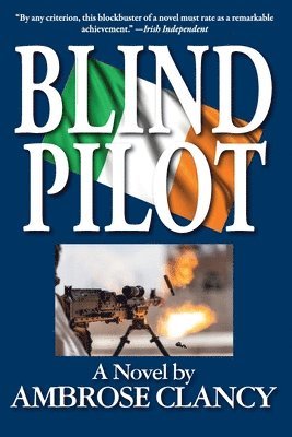 bokomslag Blind Pilot