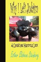 Esther Elisheva Steinberg - Why I Left Judaism, Häftad