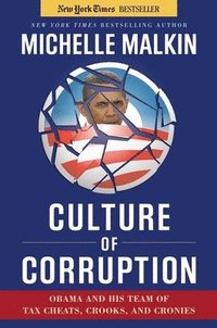 bokomslag Culture of Corruption