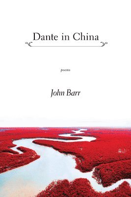 bokomslag Dante in China