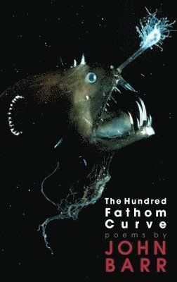 bokomslag Hundred Fathom Curve