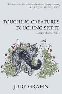 bokomslag Touching Creatures, Touching Spirit