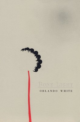 Bone Light 1