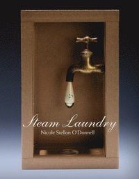 bokomslag Steam Laundry