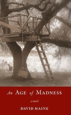 bokomslag An Age of Madness