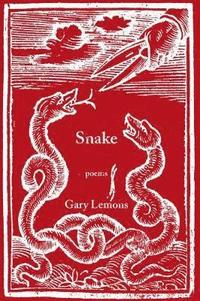 bokomslag Snake