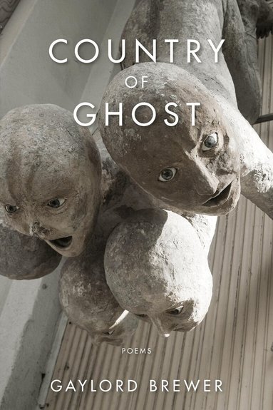 Gaylord Brewer - Country of Ghost, Häftad