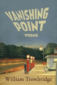 bokomslag Vanishing Point