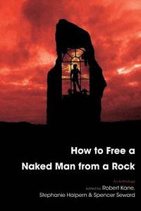 bokomslag How to Free a Naked Man from a Rock