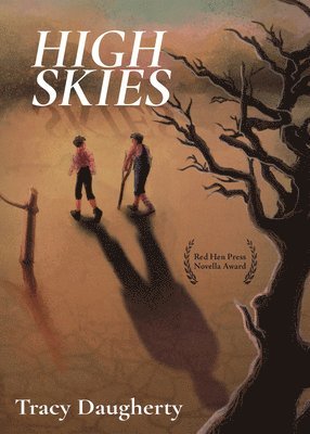 Tracy Daugherty - High Skies, Häftad