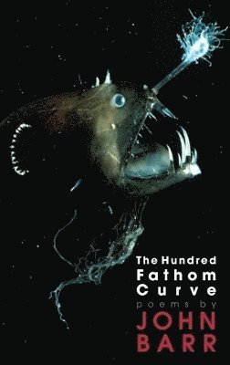 bokomslag Hundred Fathom Curve